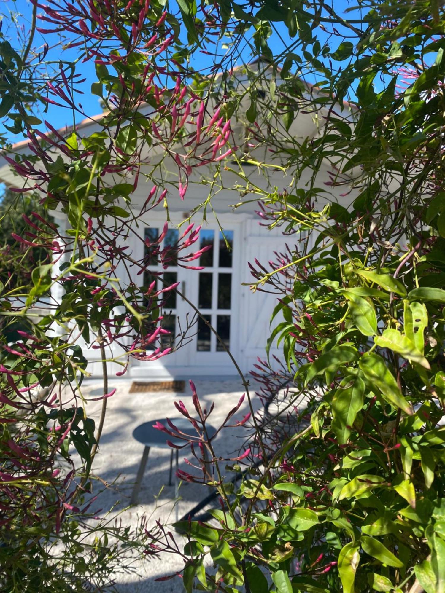 Maison Saint Paul Bnb La Colle-sur-Loup Exterior photo
